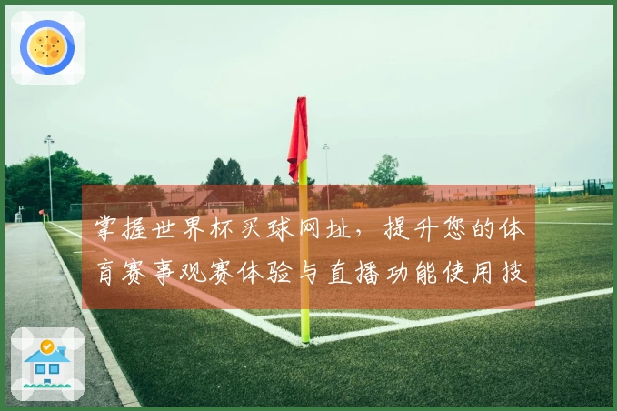 掌握世界杯买球网址，提升您的体育赛事观赛体验与直播功能使用技巧