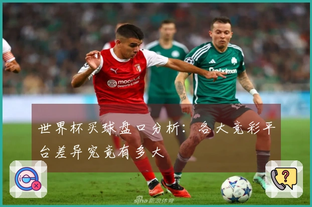 世界杯买球盘口分析：各大竞彩平台差异究竟有多大