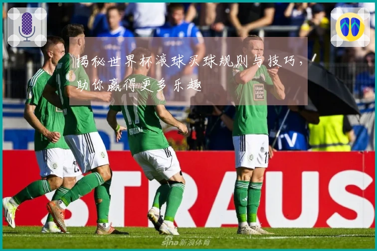 揭秘世界杯滚球买球规则与技巧，助你赢得更多乐趣