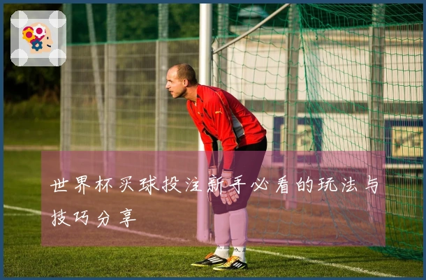 世界杯买球投注新手必看的玩法与技巧分享