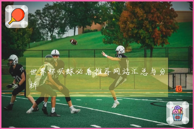 世界杯买球必看推荐网站汇总与分析