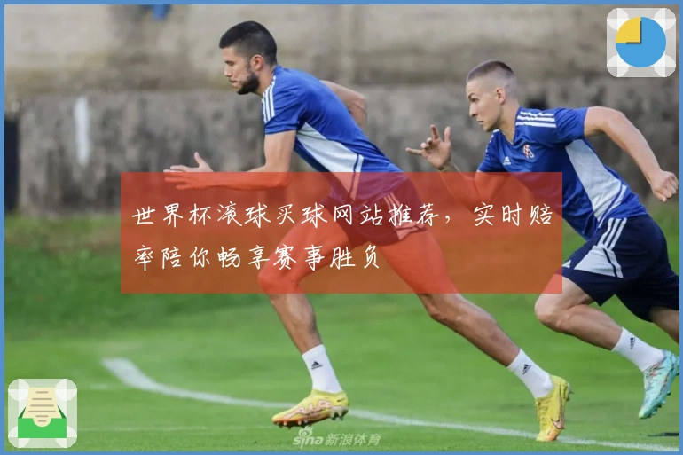 世界杯滚球买球网站推荐，实时赔率陪你畅享赛事胜负