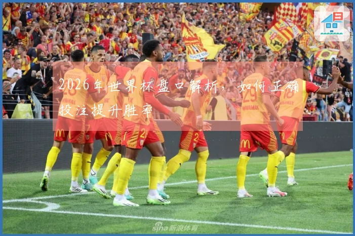 2026年世界杯盘口解析，如何正确投注提升胜率