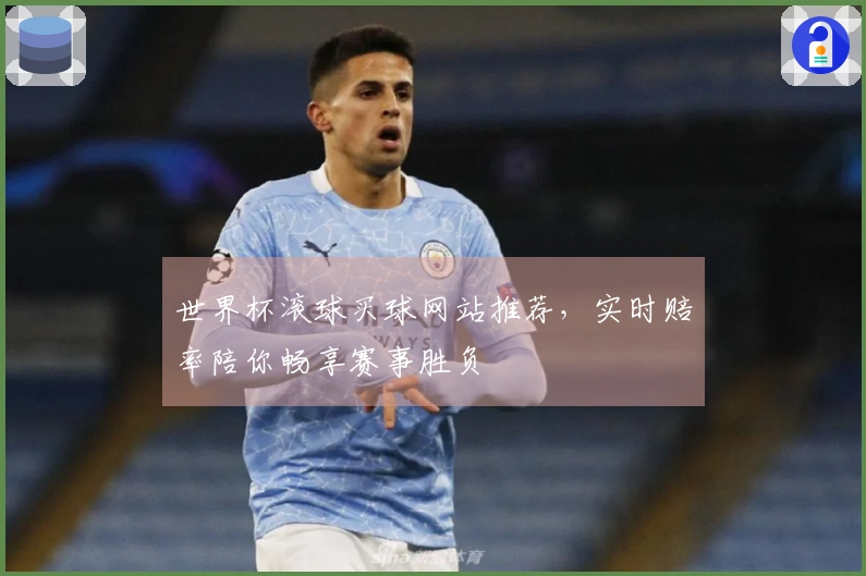 世界杯滚球买球网站推荐，实时赔率陪你畅享赛事胜负