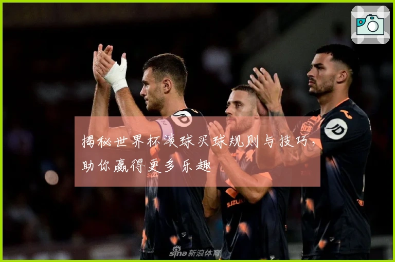 揭秘世界杯滚球买球规则与技巧，助你赢得更多乐趣