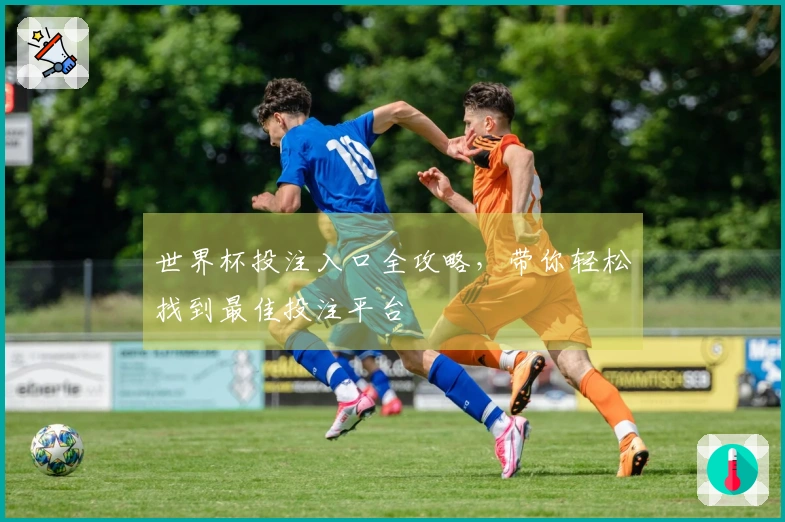 世界杯投注入口全攻略，带你轻松找到最佳投注平台