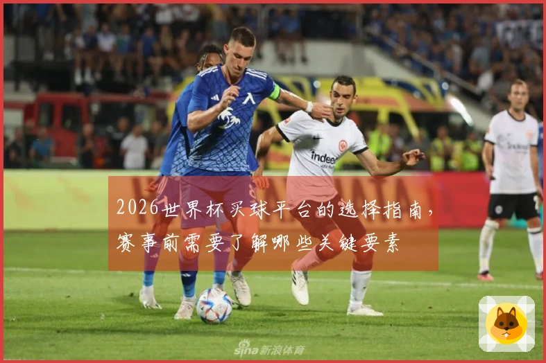 2026世界杯买球平台的选择指南，赛事前需要了解哪些关键要素