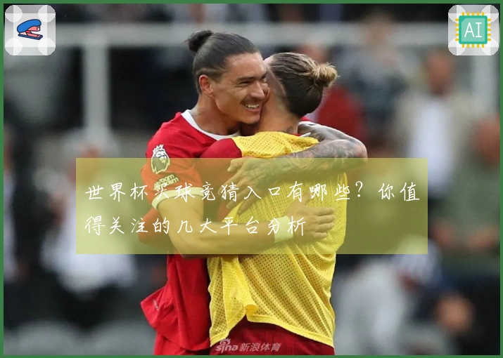 世界杯买球竞猜入口有哪些？你值得关注的几大平台分析