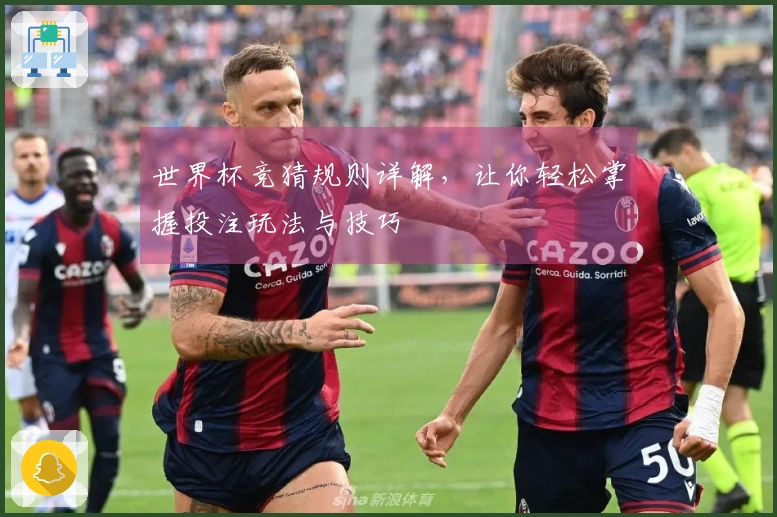 世界杯竞猜规则详解，让你轻松掌握投注玩法与技巧