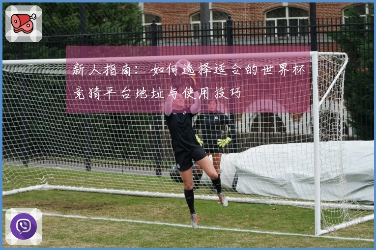 新人指南:如何选择适合的世界杯竞猜平台地址与使用技巧