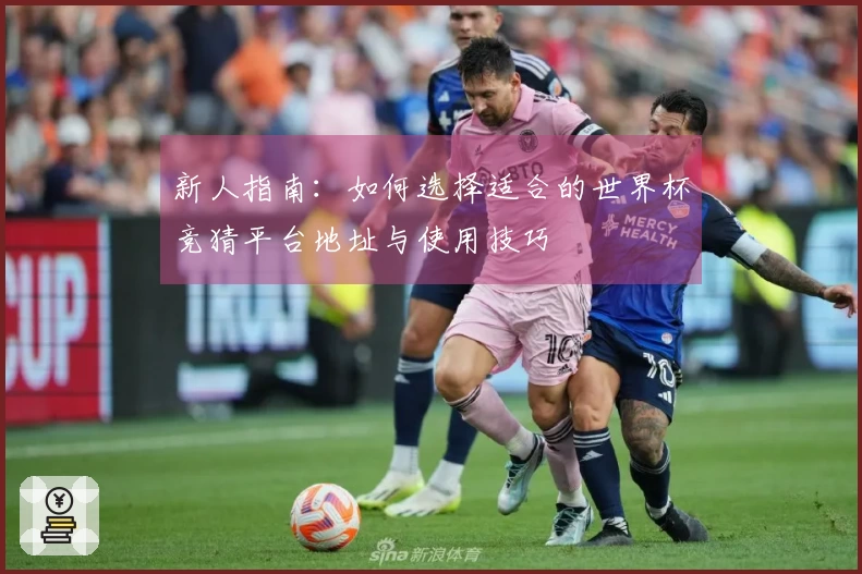 新人指南：如何选择适合的世界杯竞猜平台地址与使用技巧