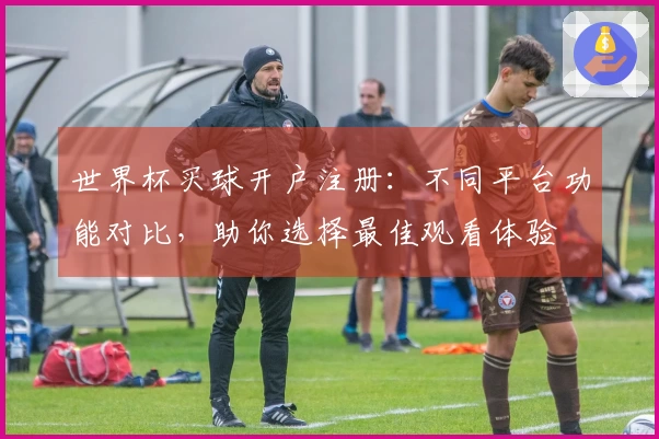 世界杯买球开户注册：不同平台功能对比，助你选择最佳观看体验
