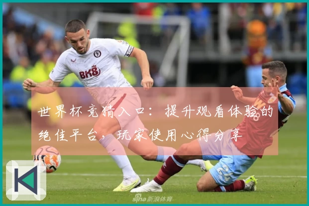 世界杯竞猜入口：提升观看体验的绝佳平台，玩家使用心得分享